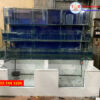 Mẫu bể hải sản đế xi măng trên kính chồng kính
